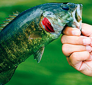 网络ddos监测分析工具